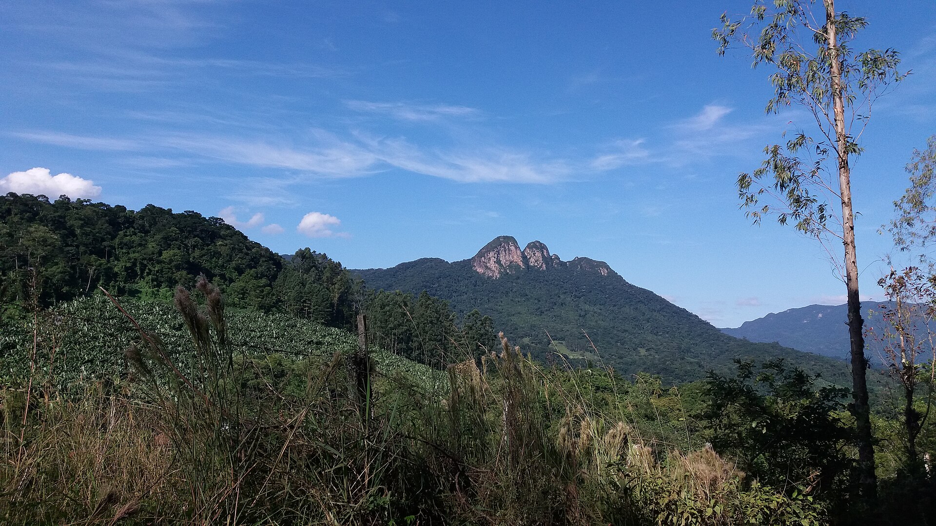 Imagem de referência de Área de Relevante Interesse Ecológico do Morro do Iririú, descrito nos dados abertos como área de Relevante Interesse Ecológico do Morro do Iririú de nível Municipal, localizado (a) em Joinville (SC)