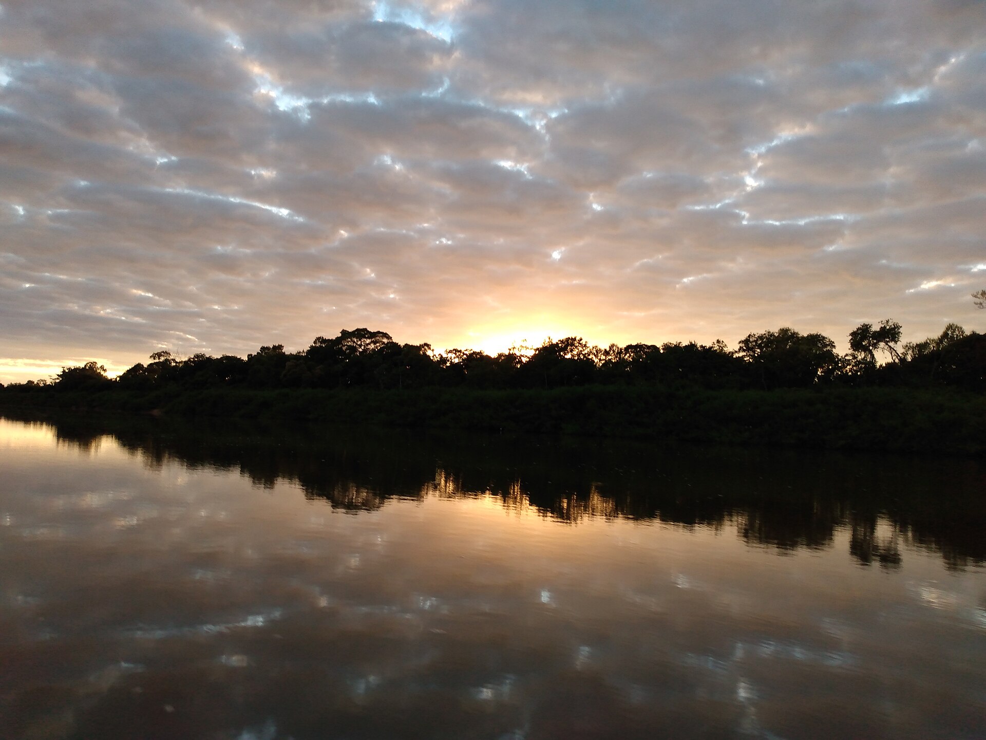 Imagem de referência de Área de Proteção Ambiental Meandros do Araguaia, descrito nos dados abertos como área de Proteção Ambiental Meandros do Araguaia de nível Federal, localizado (a) em Nova Crixás (GO), São Miguel do Araguaia (GO), Cocalinho (MT), Novo Santo Antonio (MT), Formoso do Araguaia (TO), Sandolândia (TO)