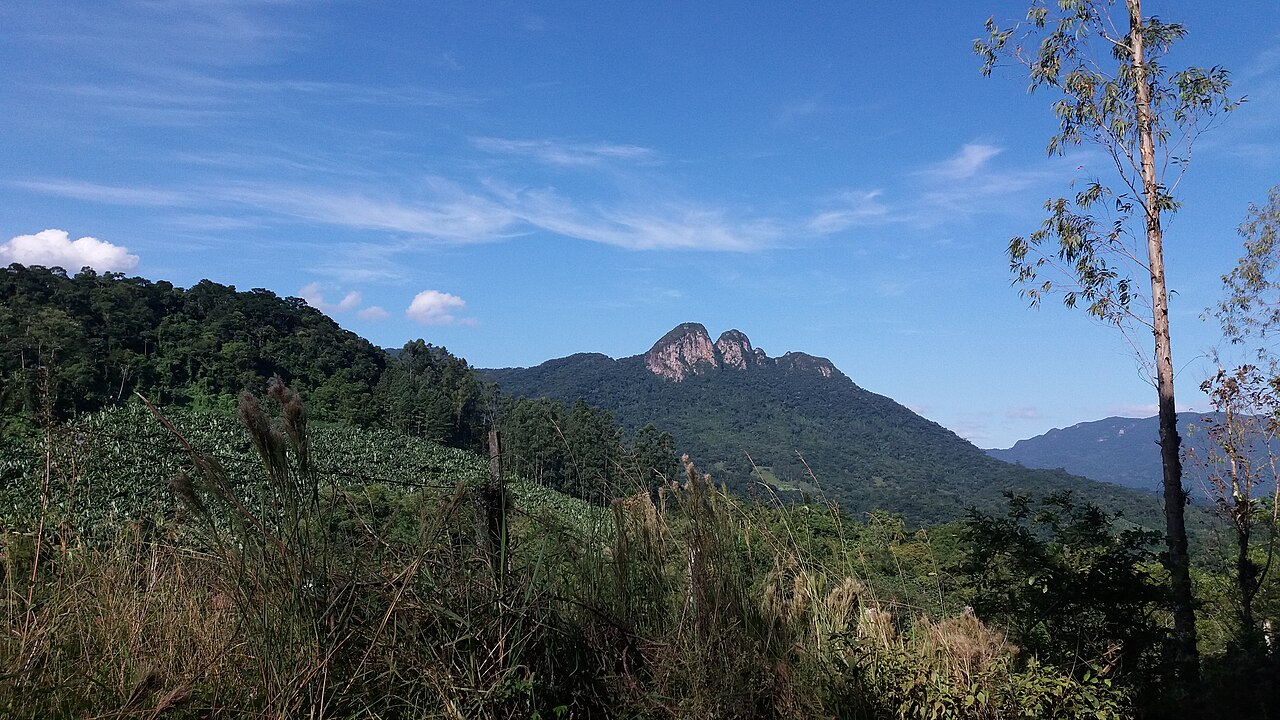 Área de Relevante Interesse Ecológico do Morro do Iririú: localização e características de Área de Relevante Interesse Ecológico