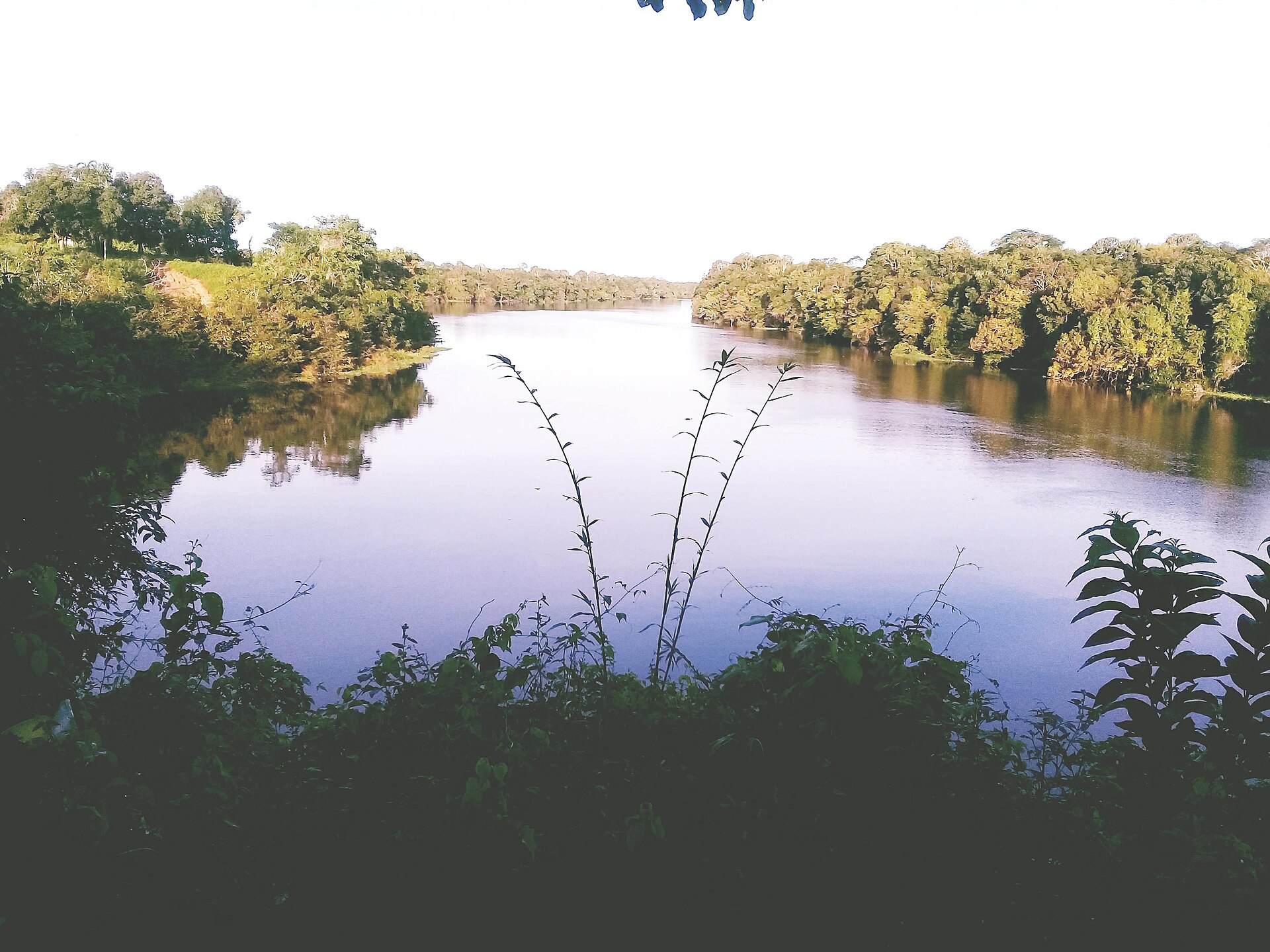 Imagem de referência de Área de Proteção Ambiental Parque Linear do Bindá, descrito nos dados abertos como área de Proteção Ambiental Parque Linear do Bindá de nível Municipal, localizado (a) em Manaus (AM)