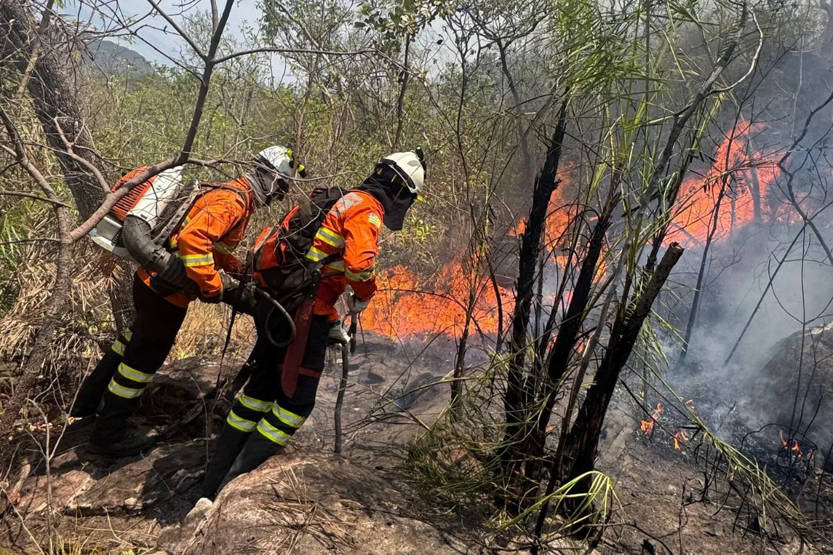 Brigadistas apagam fogo florestal - Metrópoles