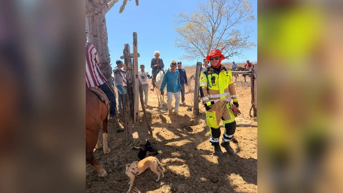 MG: homem de 94 anos é localizado após buscas em mata de Araçuaí