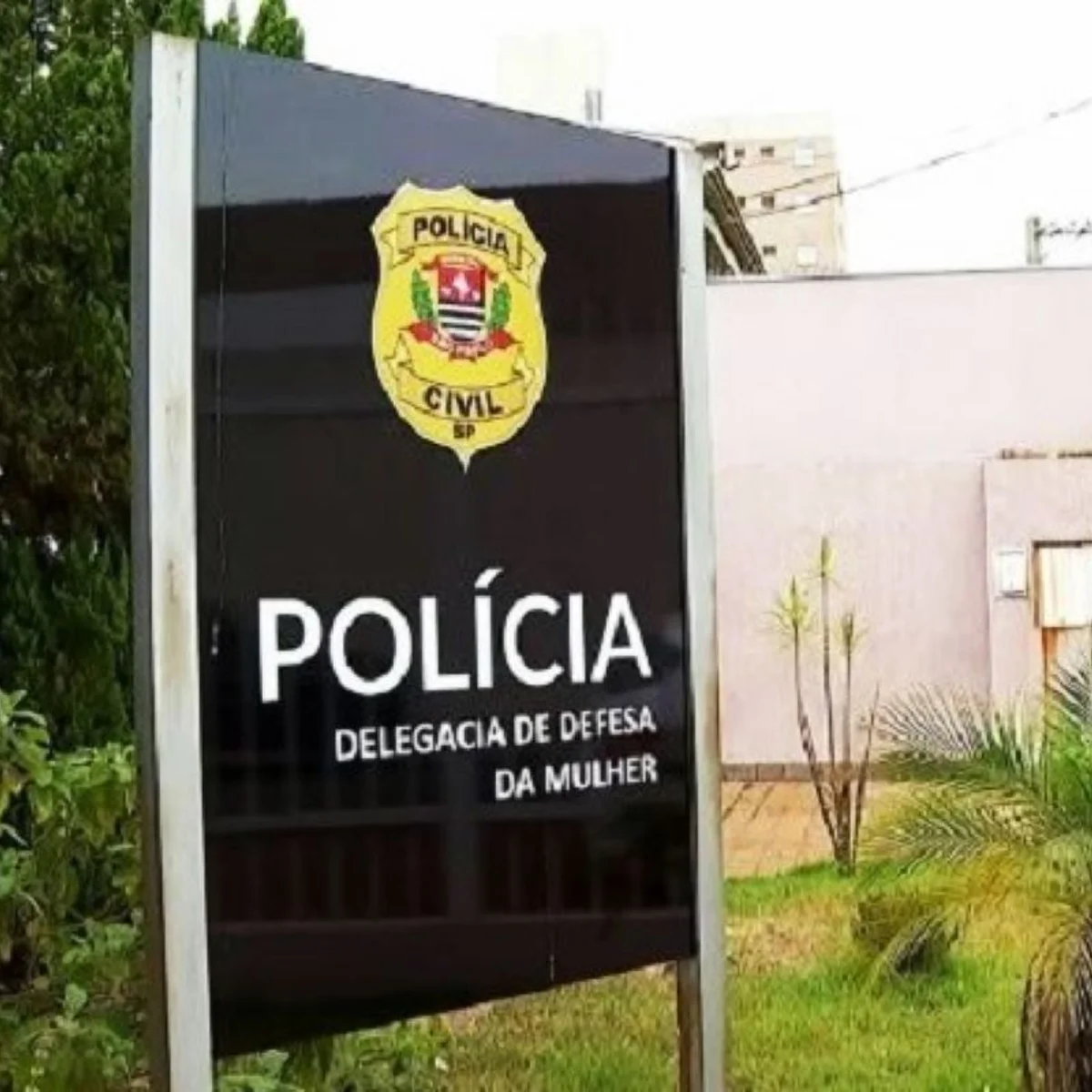 Mais de 500 municípios de SP não têm Delegacia de Defesa da Mulher