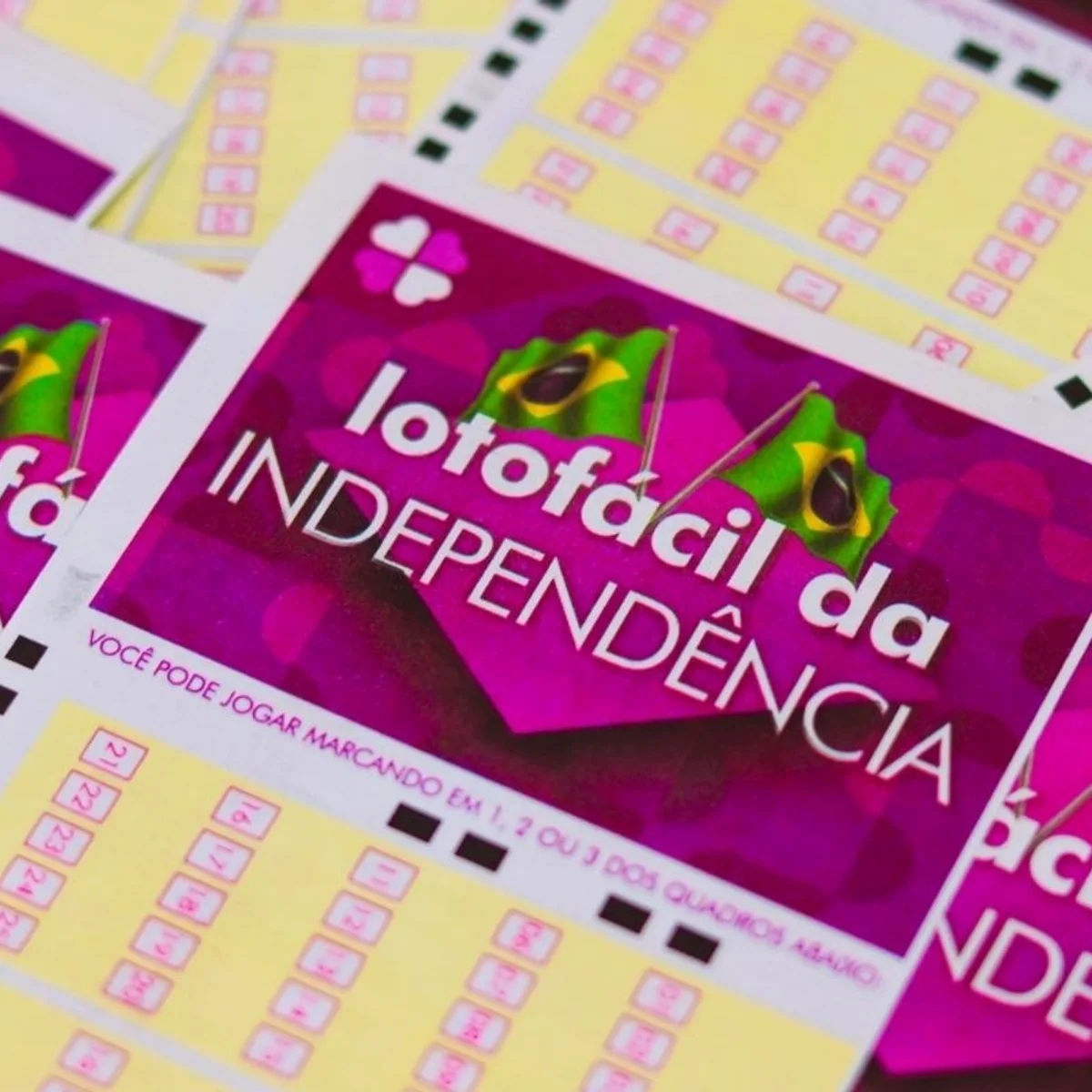 Lotofácil da Independência sorteia prêmio de R$ 300 milhões nesta 3ª