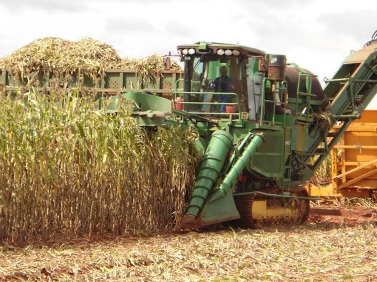 Marrocos fornecerá 3,8 milhões de toneladas de fertilizantes ao Brasil
