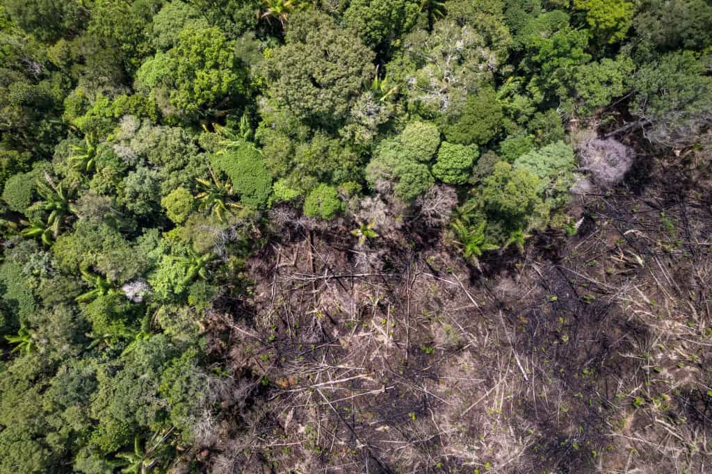 Eventos climáticos extremos no centro da Amazônia preocupam cientistas