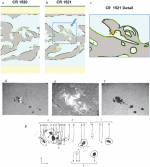 A tempestade solar mais perigosa da história