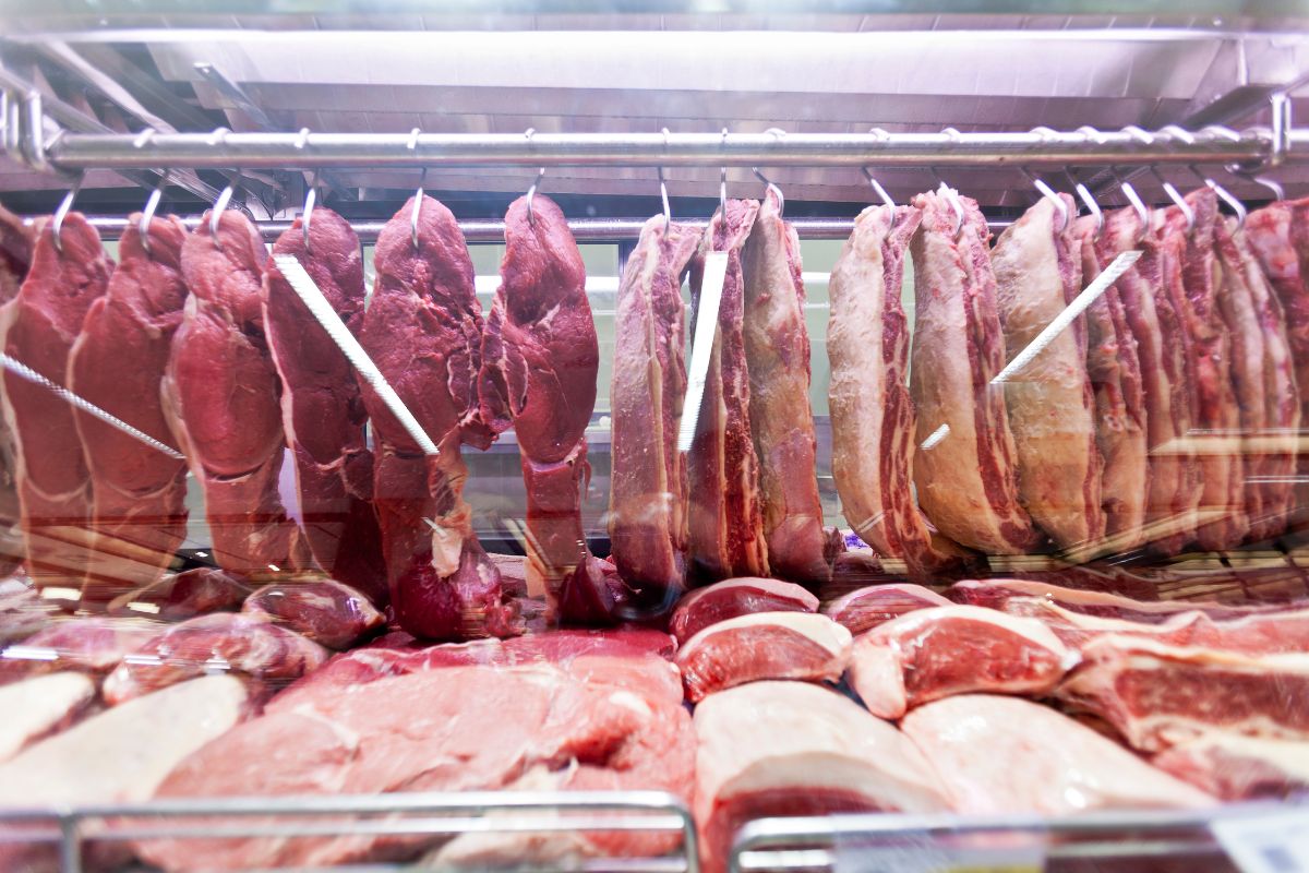As 20 melhores proteínas para quem quer se nutrir e bater a meta diária