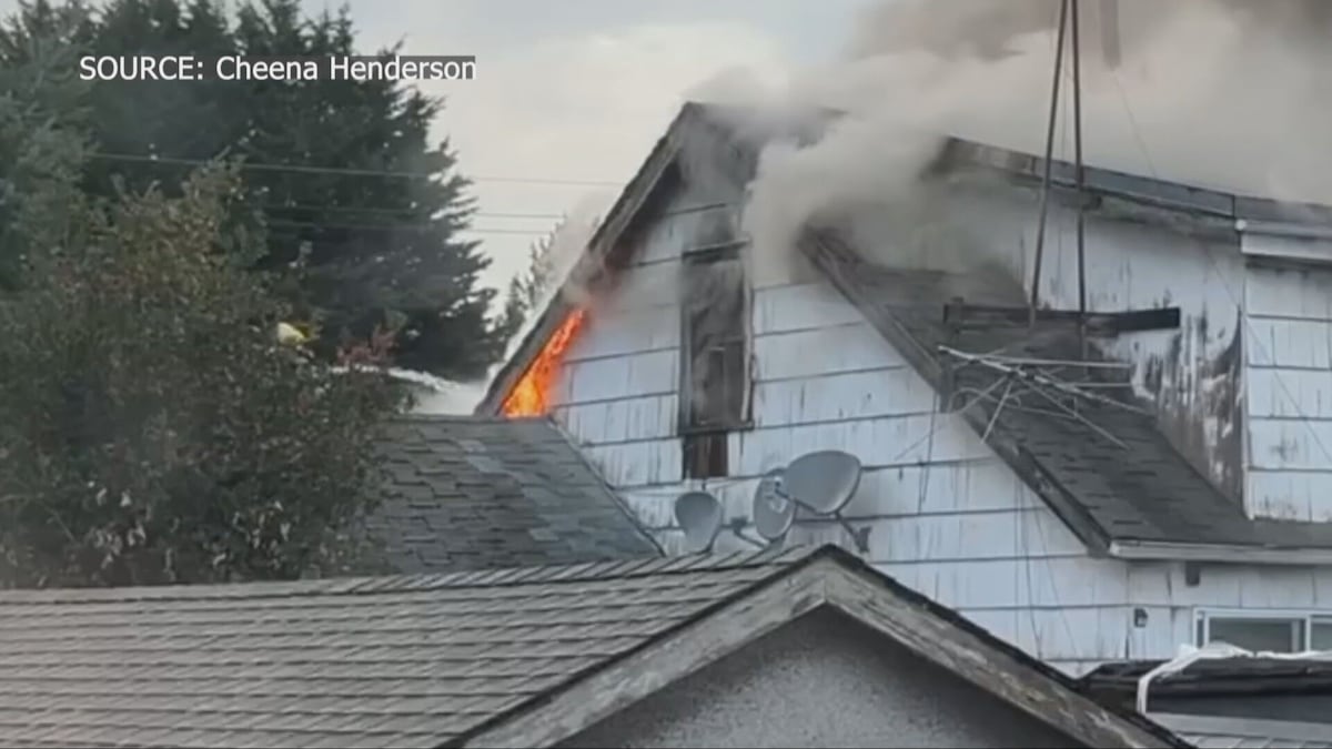 Man tried to re-enter burning Nanaimo home after escaping with dog, fire chief says