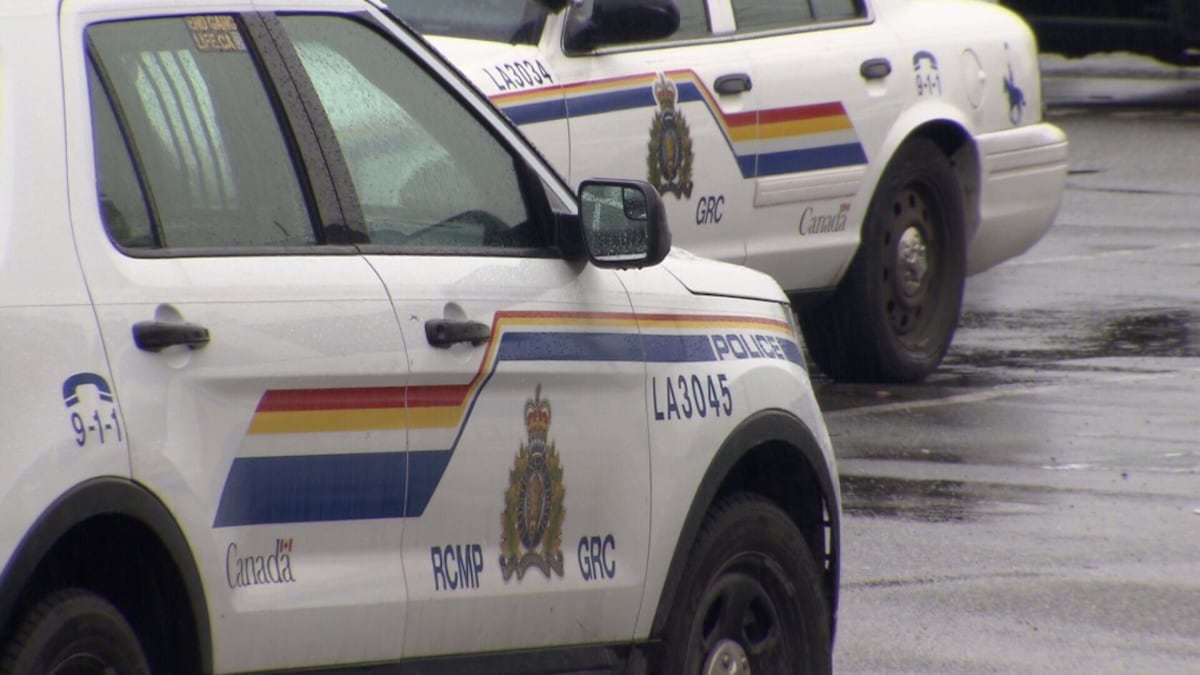 B.C. man charged in alleged hate-motivated assault on mother, children