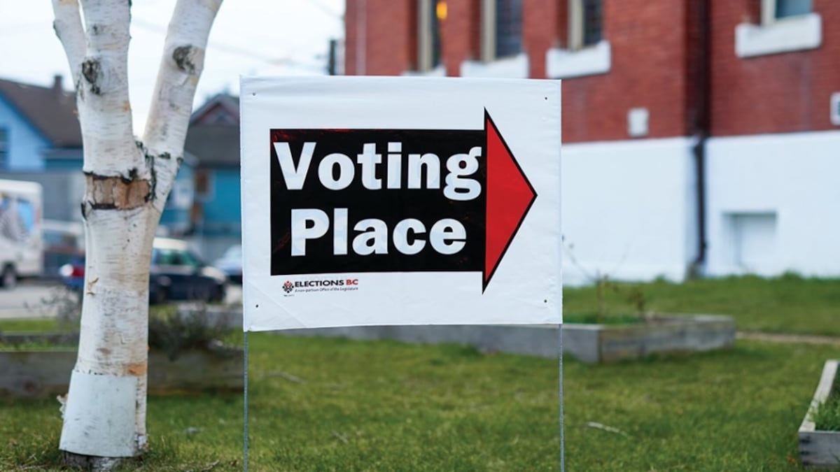 Only one B.C. party is fielding candidates in all 93 ridings