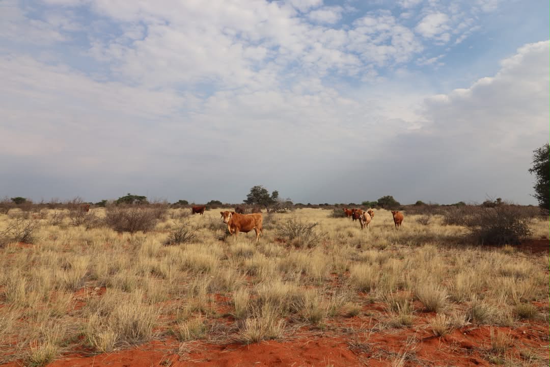 O ministro Indileni Daniel lança inquérito às operações da NWR