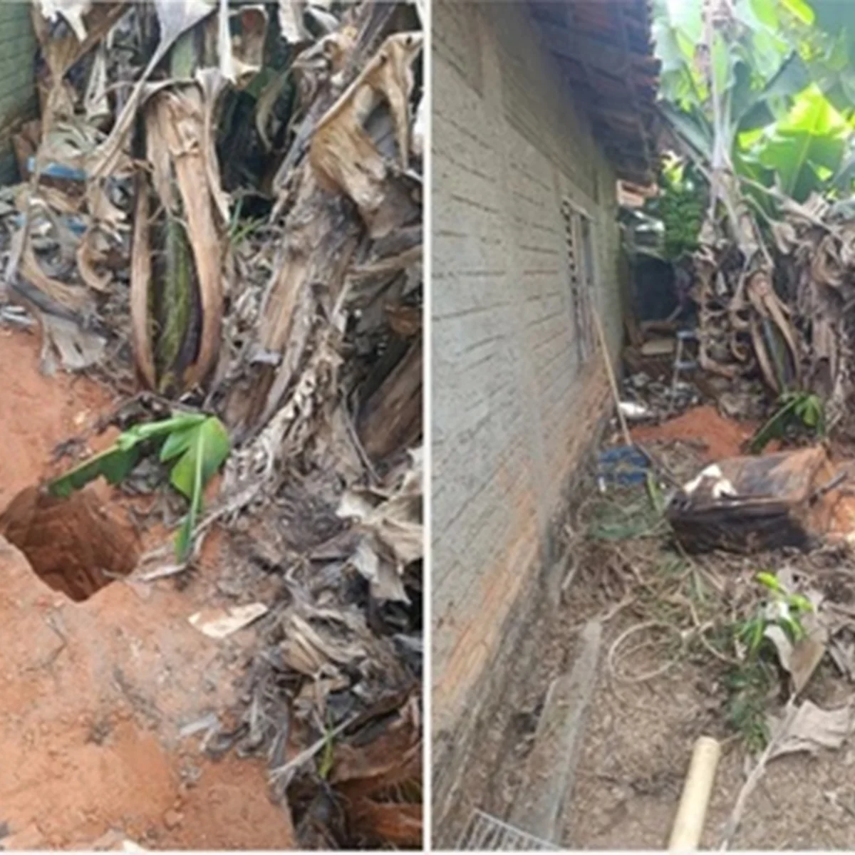 Homem que matou esposa e escondeu corpo em buraco no quintal é condenado