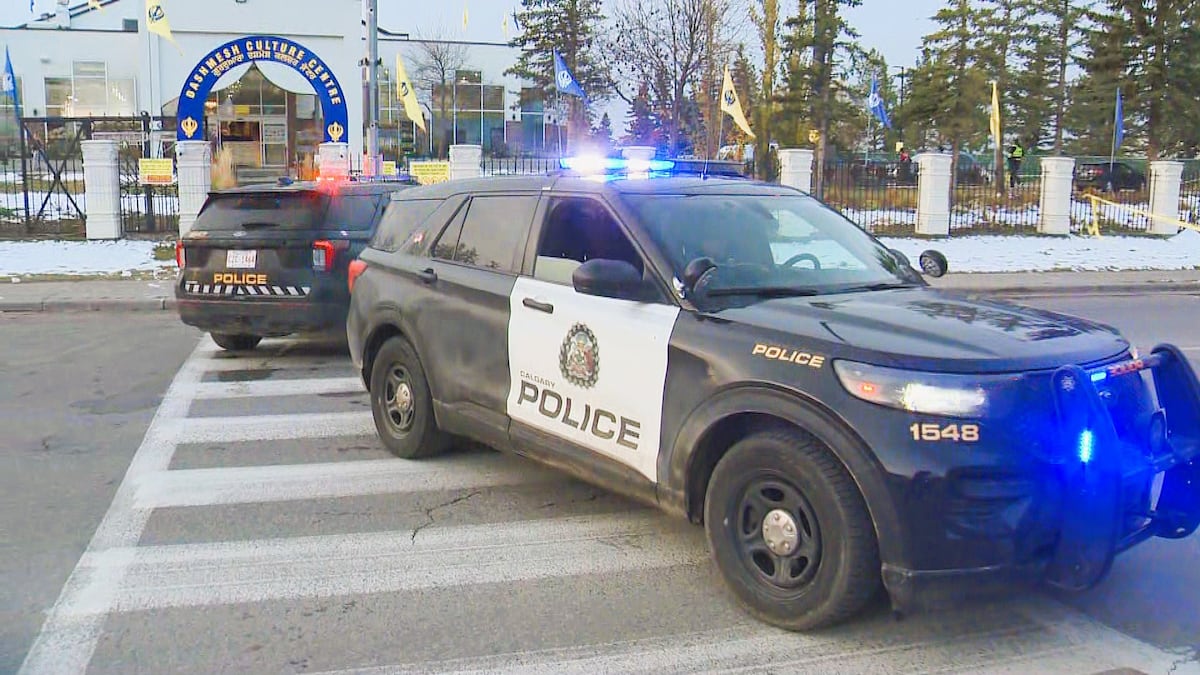 Pedestrian dies after being hit by vehicle in Martindale: Calgary police