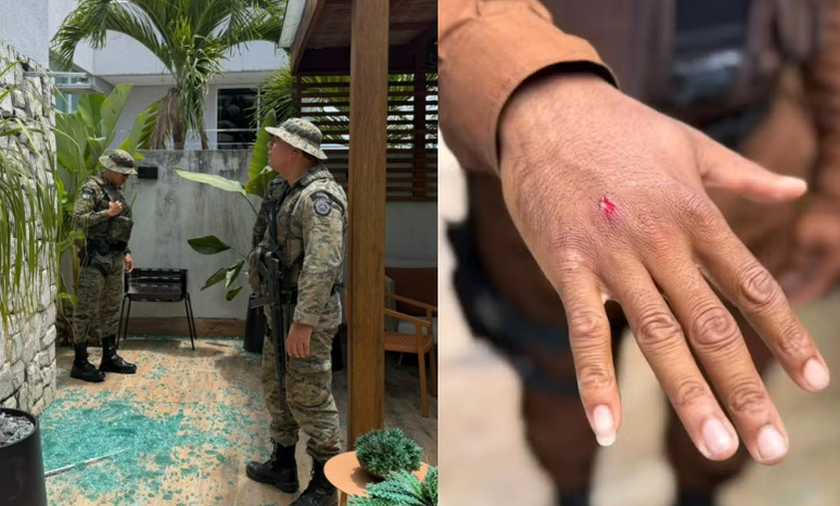 Macaco-prego invade casas na Bahia, ingere álcool e deixa feridos antes de ser capturado pela Polícia
