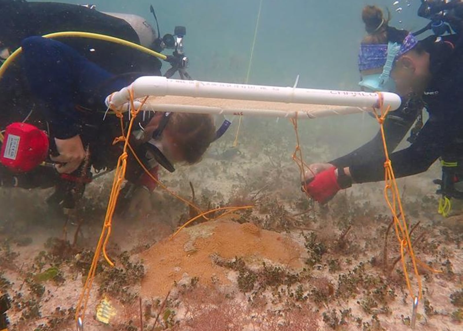 Estruturas foram fixadas temporariamente no fundo do mar Arelys Chaparro