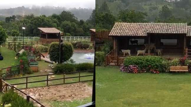 A Fazenda: madrugada tem bate-boca com Daniel Erthal e 'jogo sujo' de Jottapê exposto